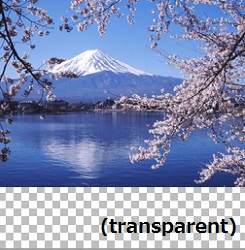 変換後のVTFファイル